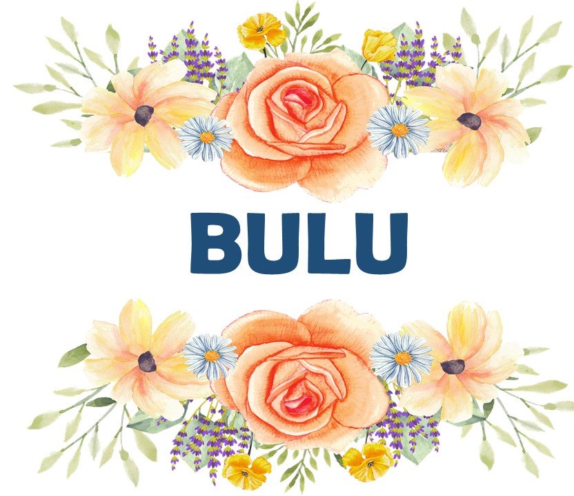 Apprendre le Bulu